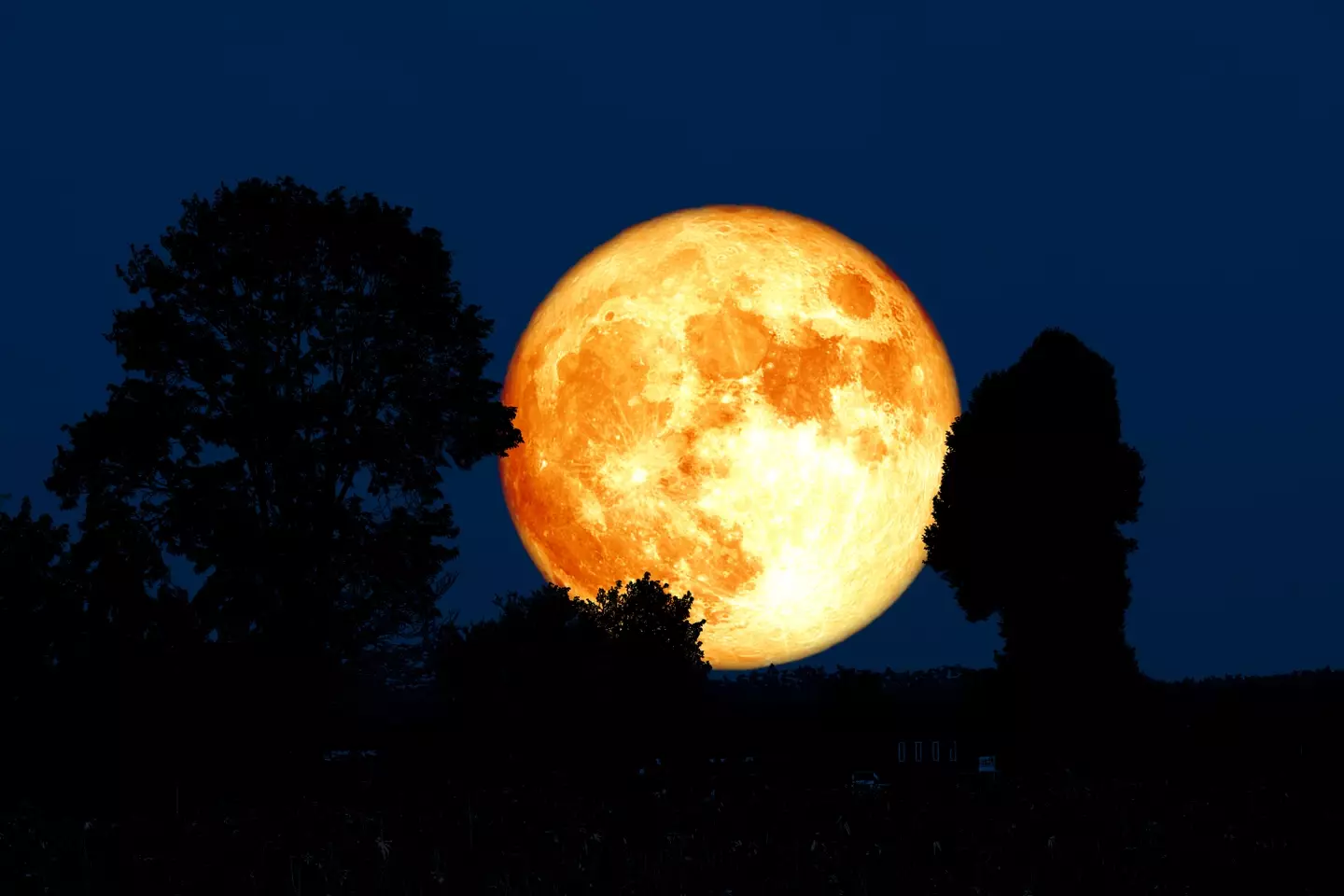 This Buck Moon will be visible to the naked eye this weekend. (Chayanan/Getty Images)