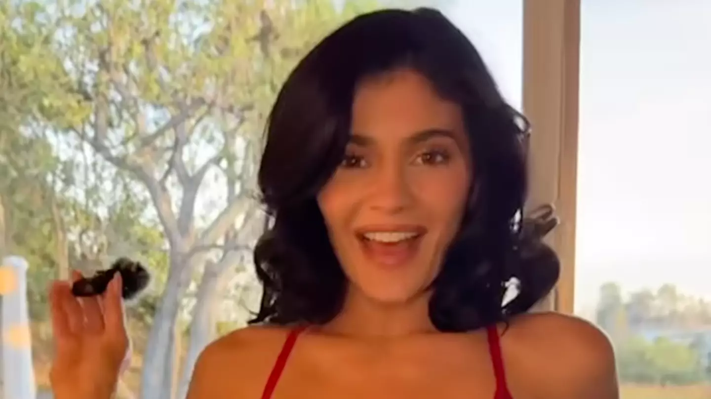Kylie Jenner divides fans after sharing racy outfit she 'wears to pick up her kids from school’