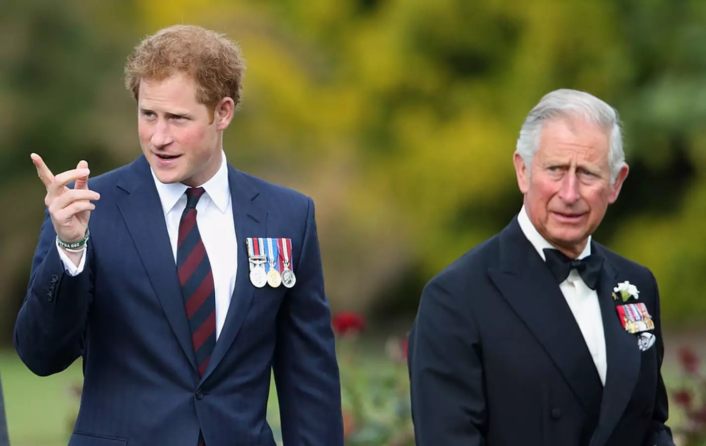The state of Prince Harry and King Charle's relationship has been well publicised (Max Mumby/Indigo/Getty Images)