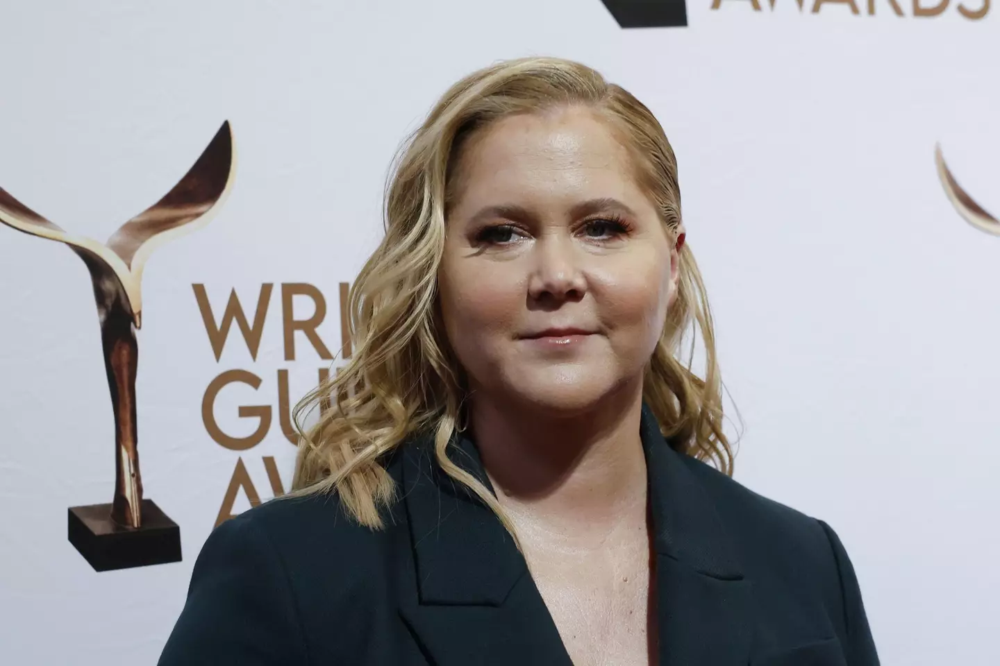 Amy Schumer was originally set to play the leading role in Barbie.