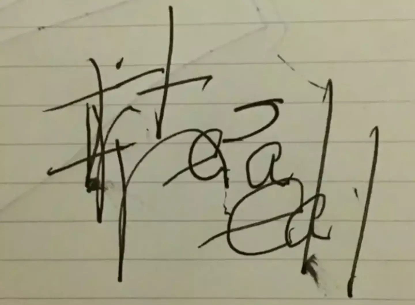 Tina wrote a note about her experience (Instagram)