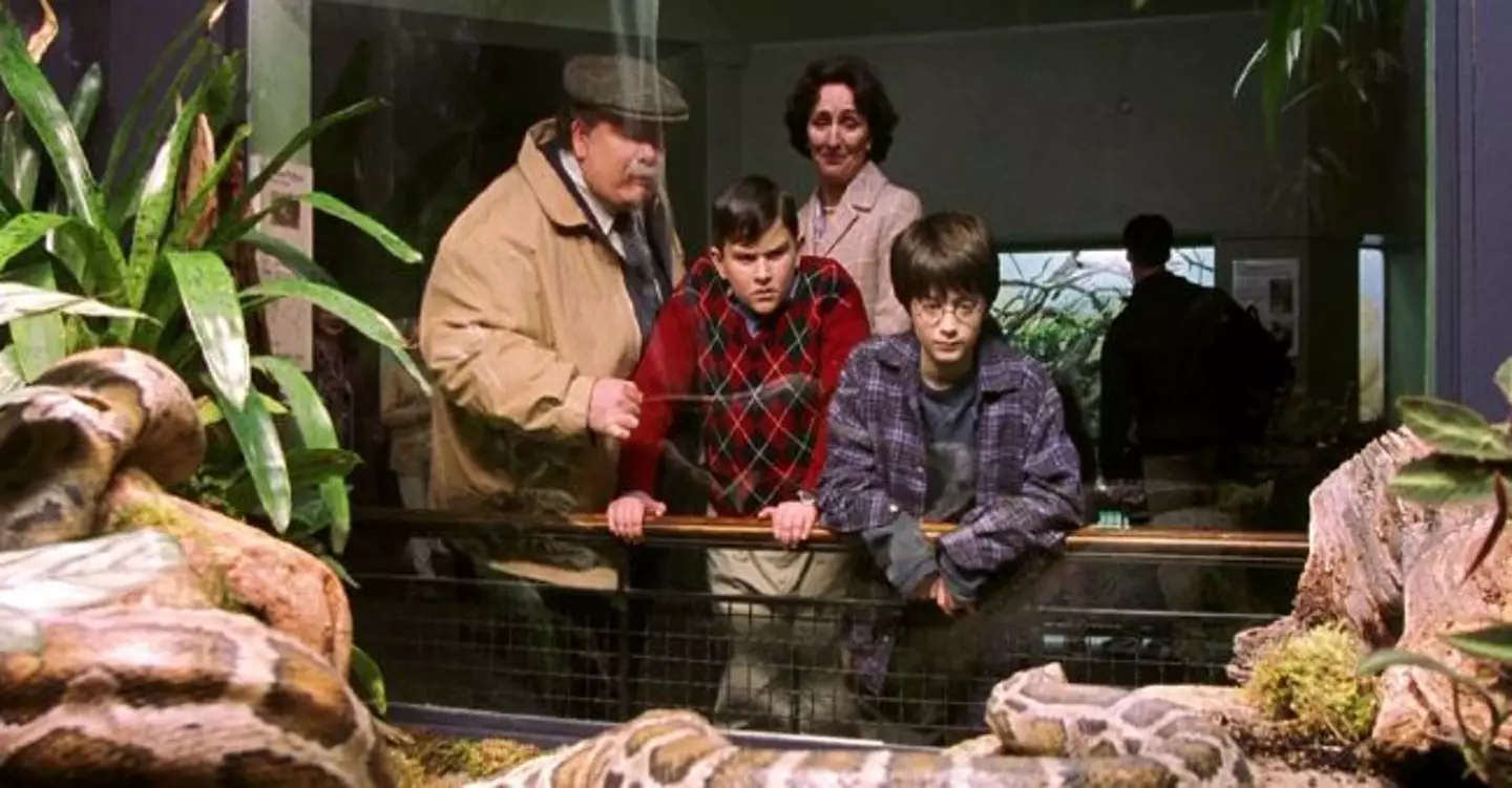 Other TikTokers offered their own suggestions (