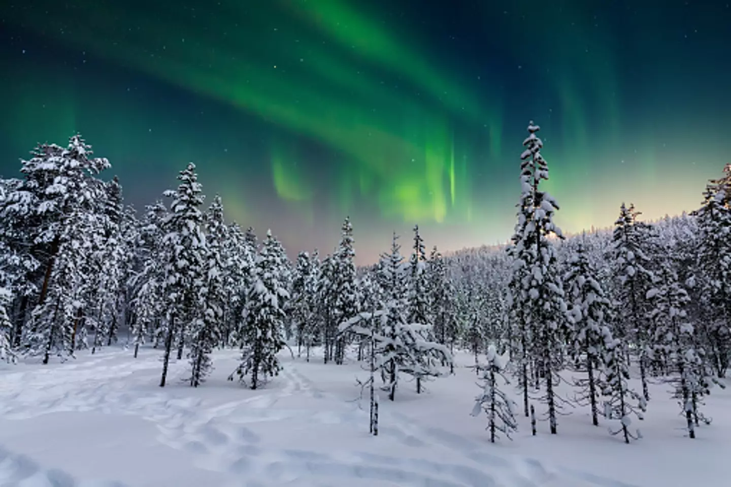 Anton Petrus/ Getty Images (stock image)