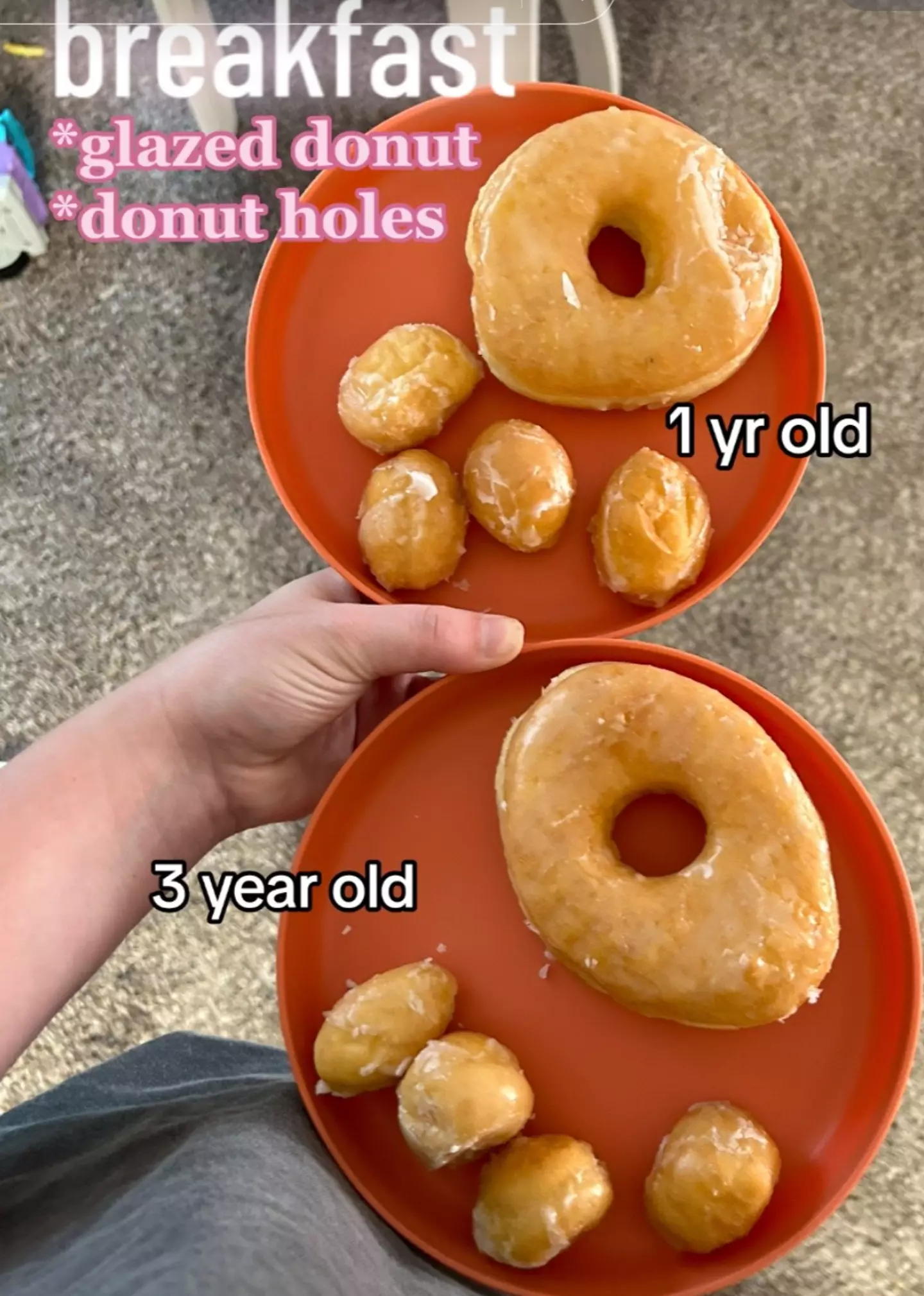The children had doughnuts with a side of mini doughnuts for breakfast.
