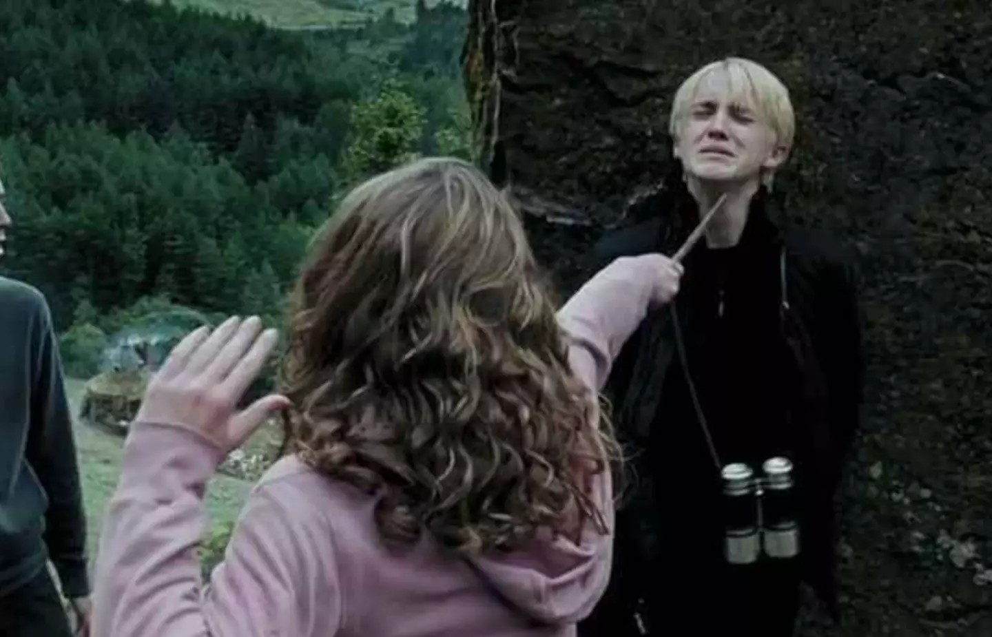 Malfoy and Hermione weren't exactly friends.