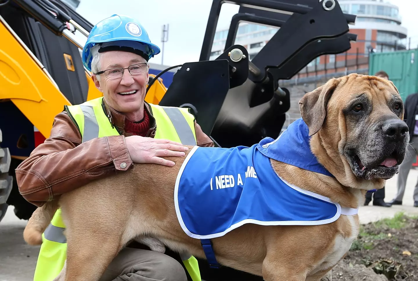 O'Grady was an ambassador for Battersea Dogs and Cats Home.