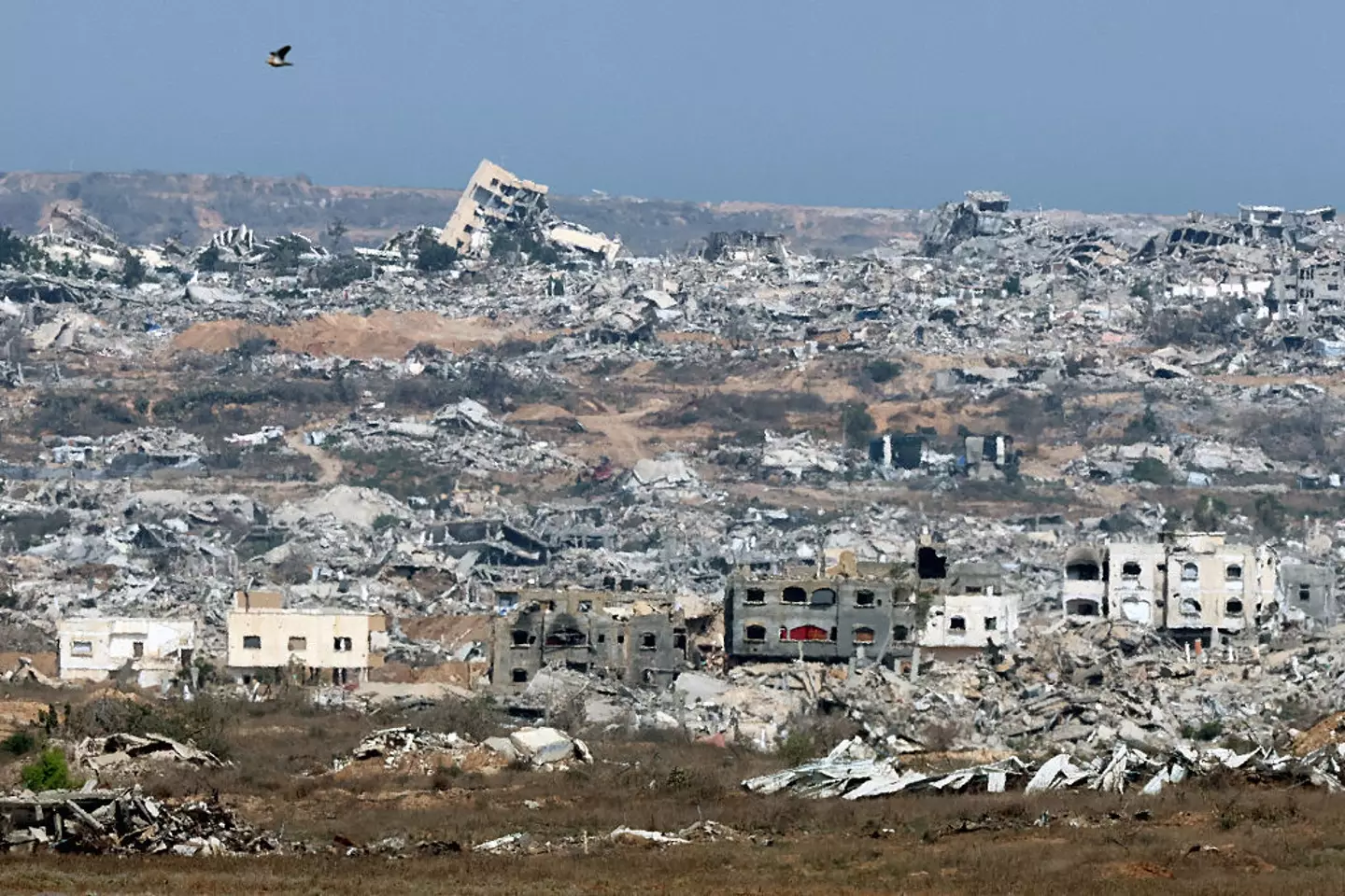 Gaza is facing ‘man-made’ starvation as Israel continues to block aid into the territory (JACK GUEZ / Contributor / Getty Images)