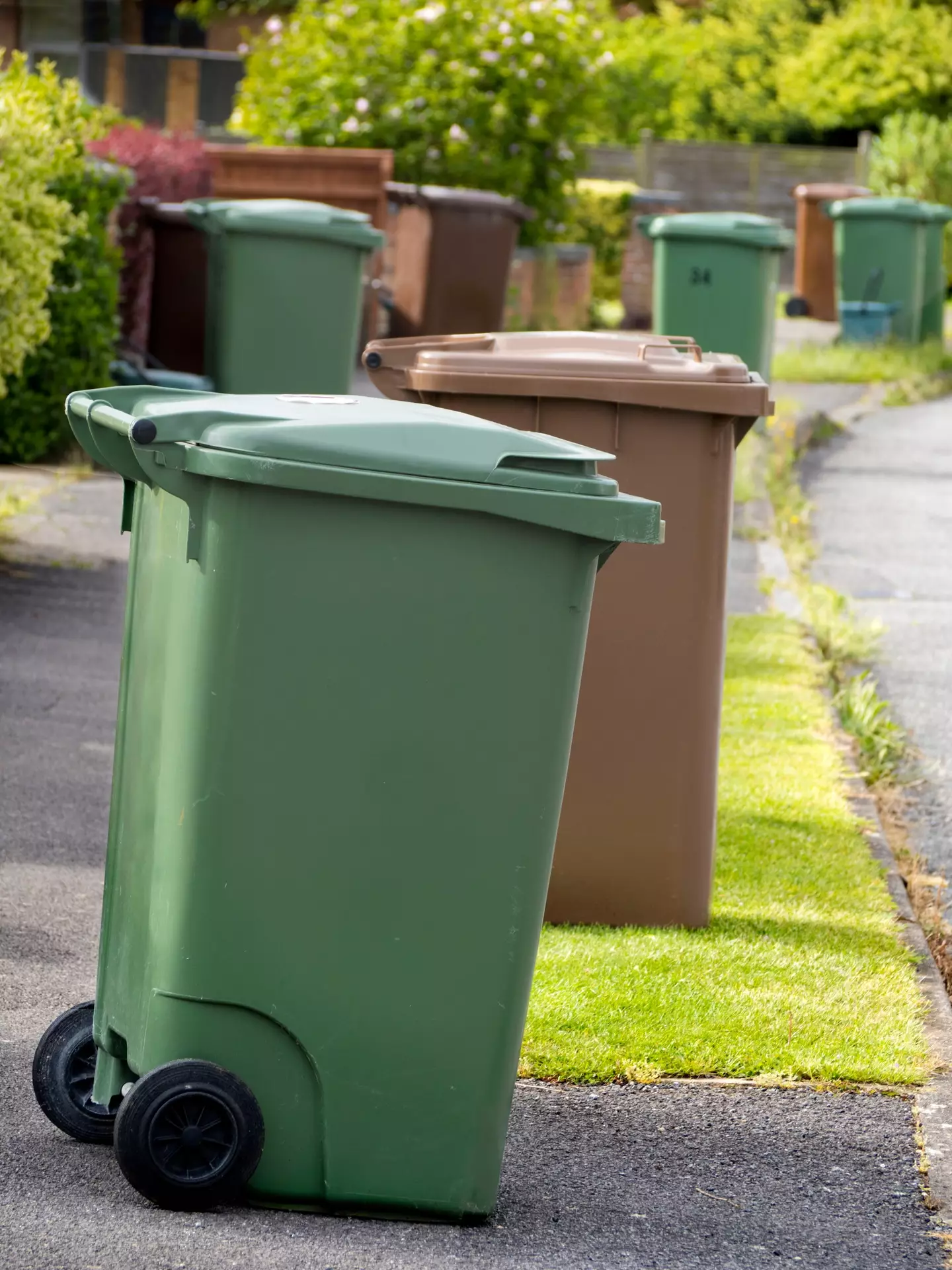 Ministers hope recycling rates will increase following the new changes.