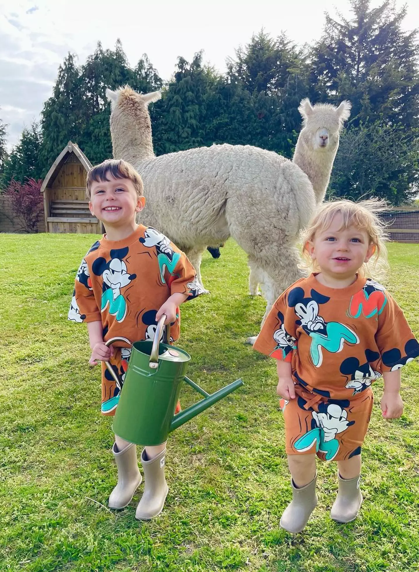 Ronnie with his little brother Lennie and the family's alpacas.