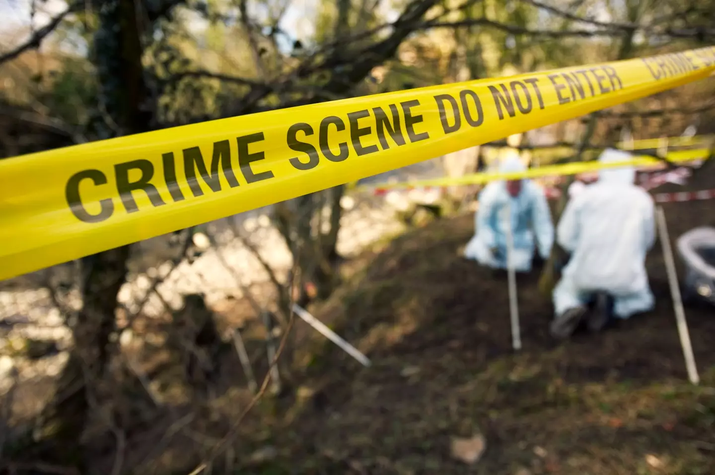 Jo revealed one mistake that murderers commonly make. (Ashley Cooper/Getty)