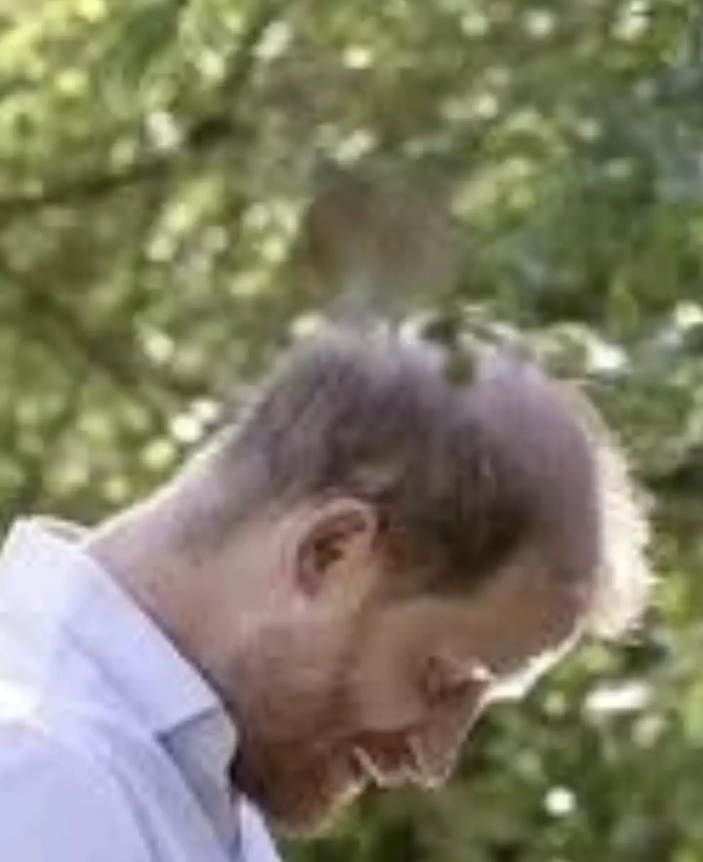 Eagle-eyed viewers noticed something slightly odd about Harry's head (Instagram/@meghan)