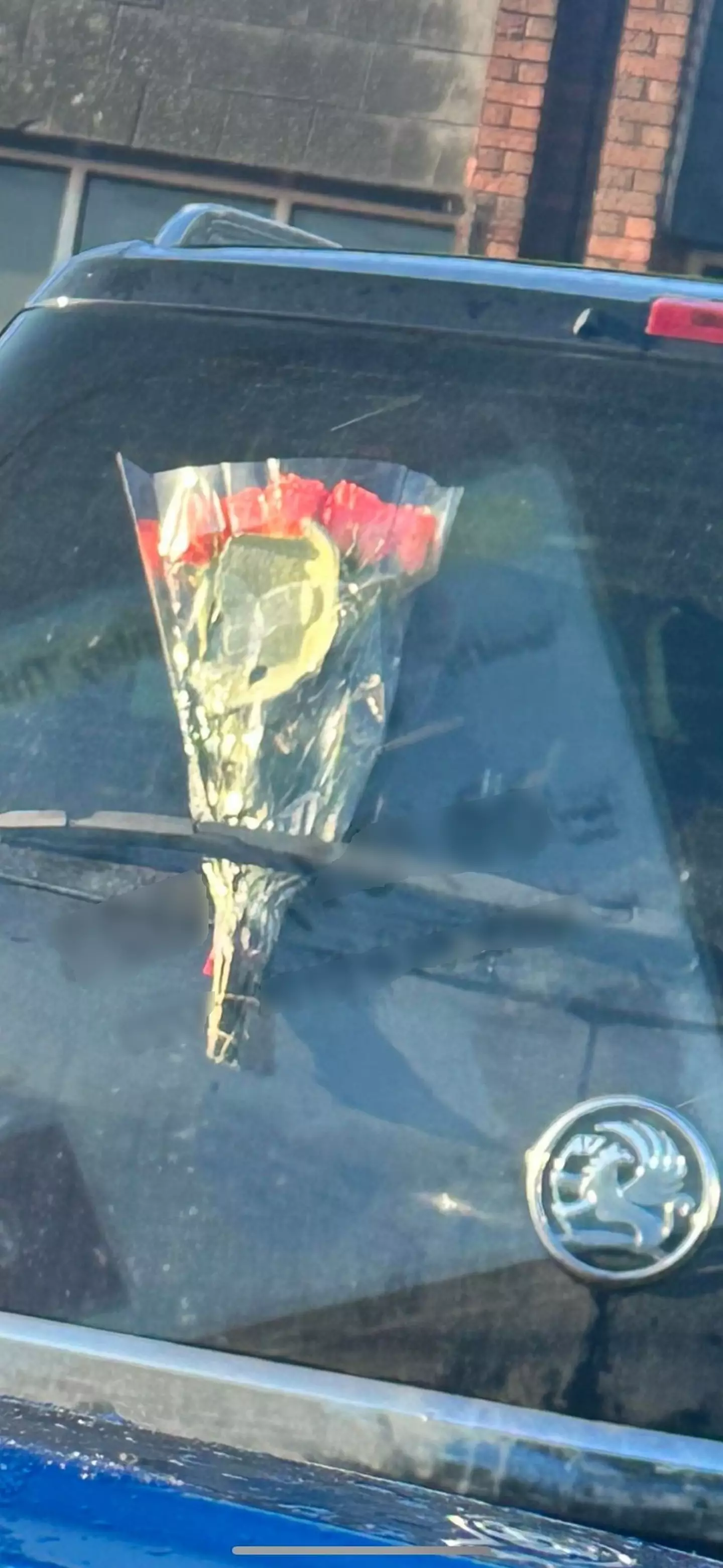 Abbie regrets leaving flowers on the car.