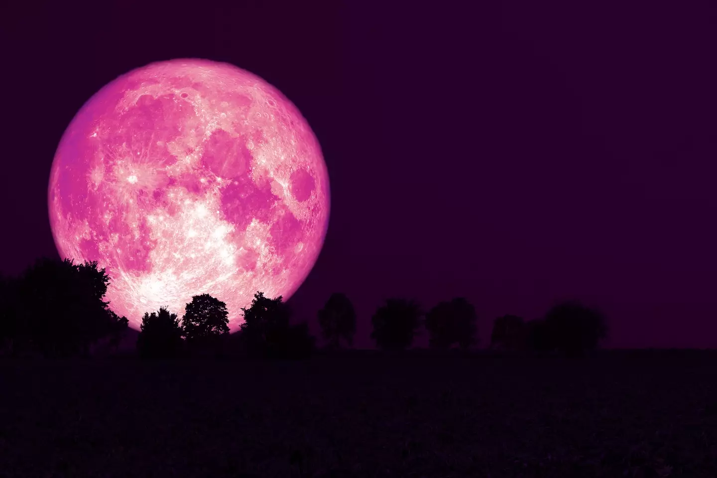 The full Strawberry Moon in Capricorn is set to grace our skies this Friday (21 June). (Chayanan / Getty Images)