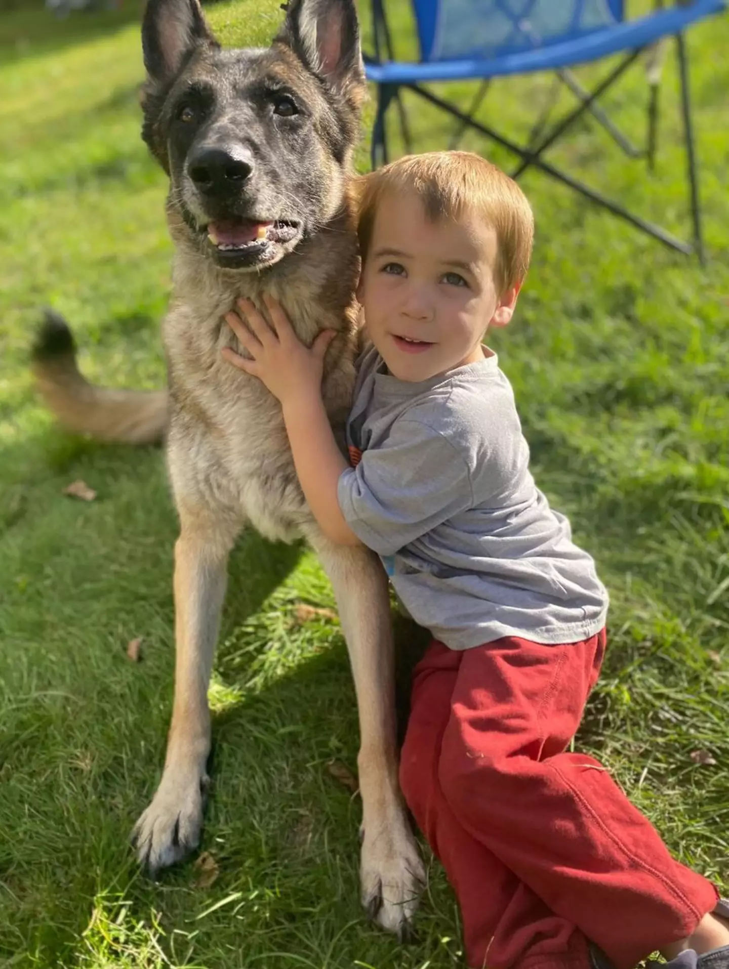 Stephy was criticised for letting the dog watch her children.