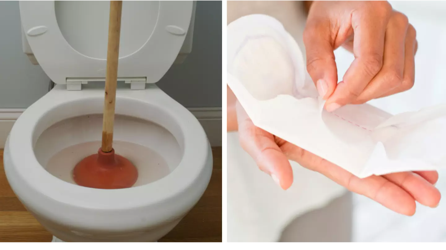 Woman divides opinion after calling out house guest for trying to flush maxi pad down toilet