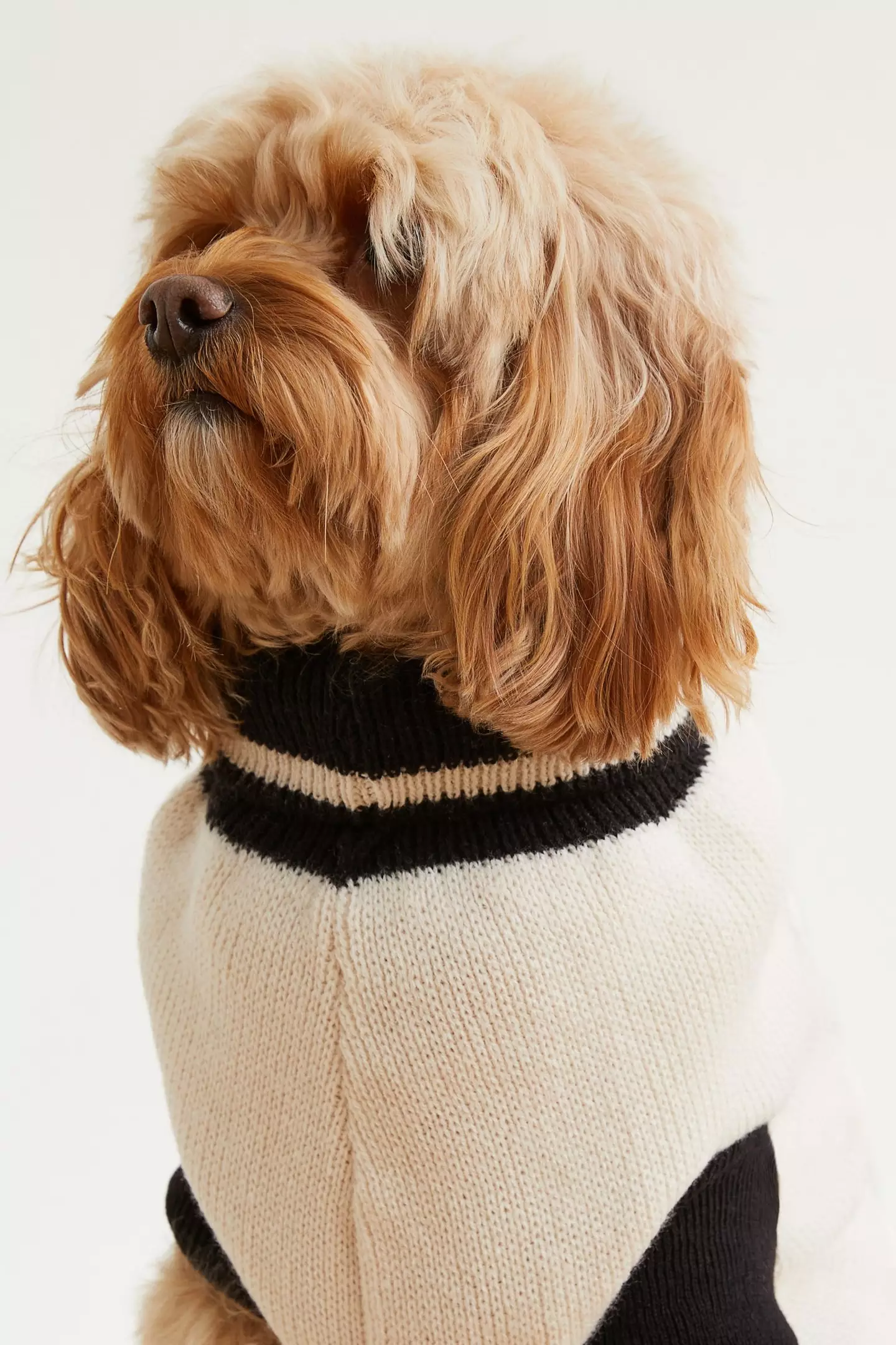 There's a white or grey Mickey Mouse design, which features a soft knit and ribbed collar (