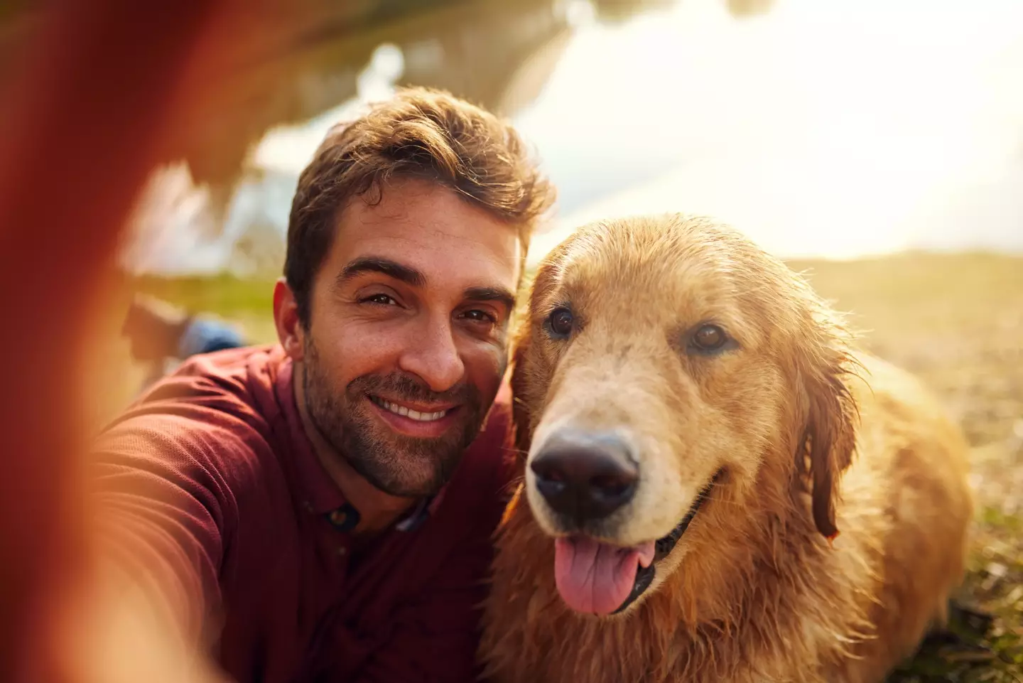 The dog in their profile might not be their own (Getty Stock Image)