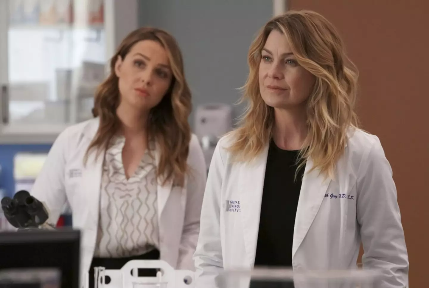 Pompeo starred as Meredith Grey (ABC)