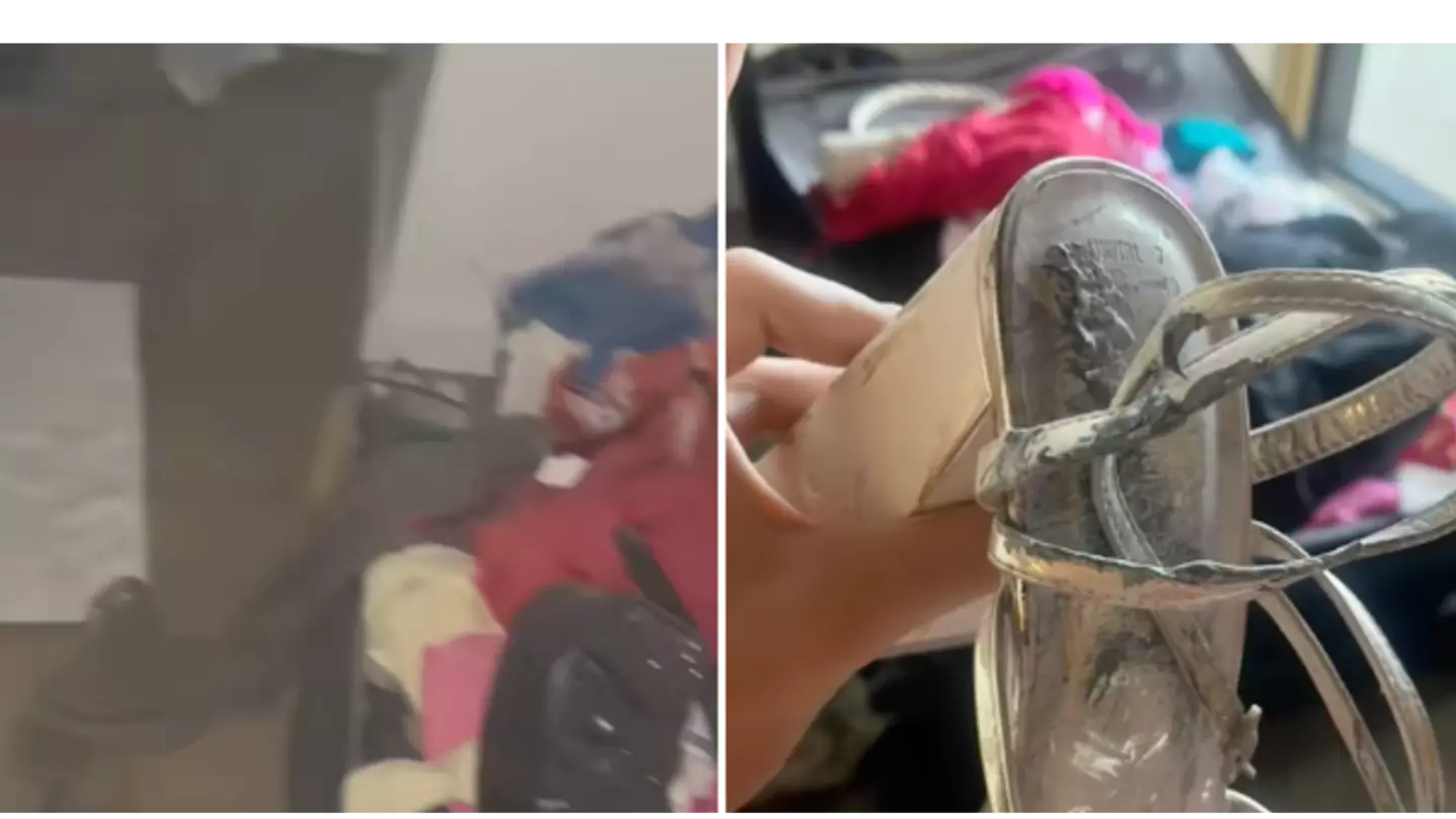 TikTok/@francescawylde