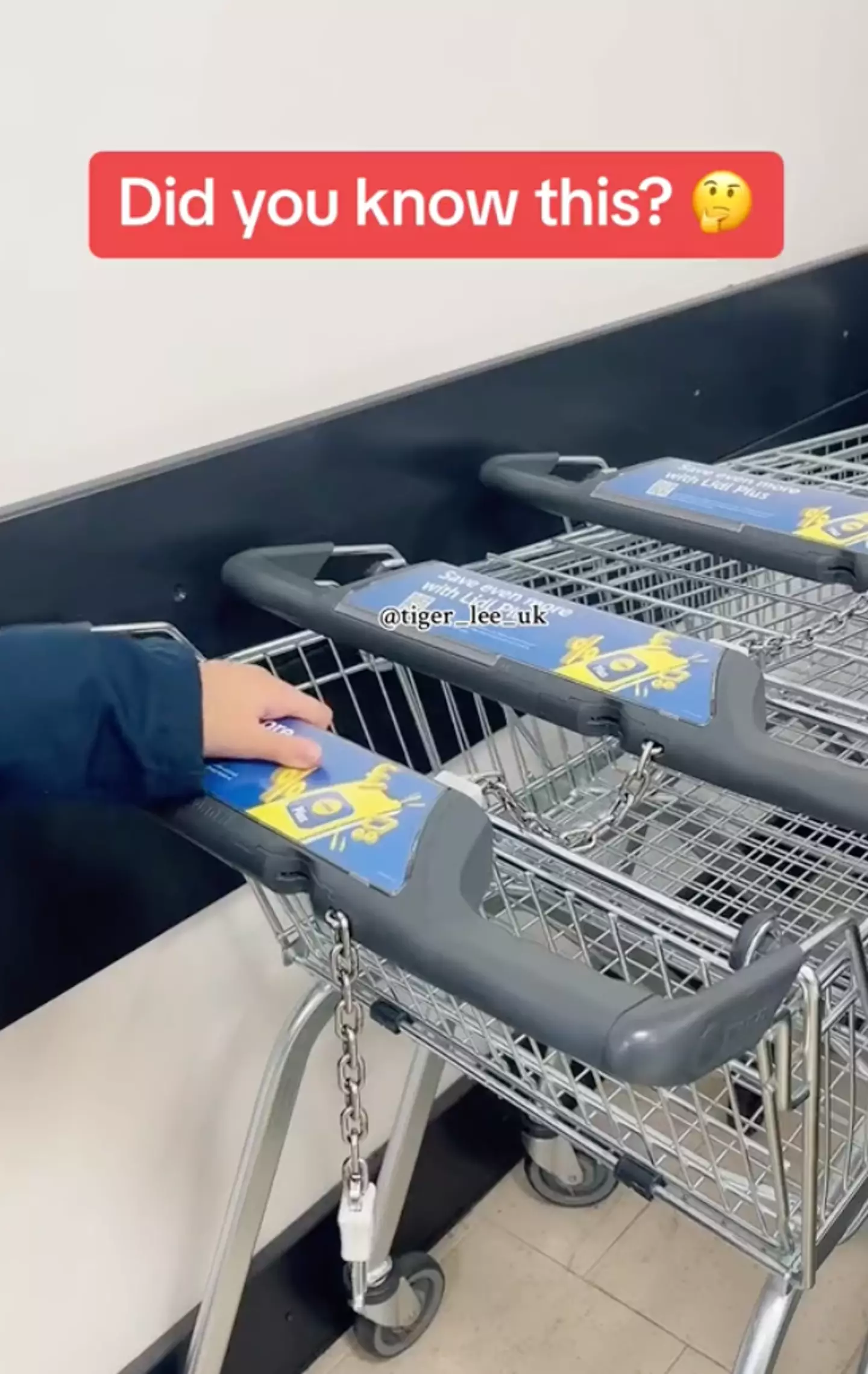 One woman shared her genius trolley life hack.