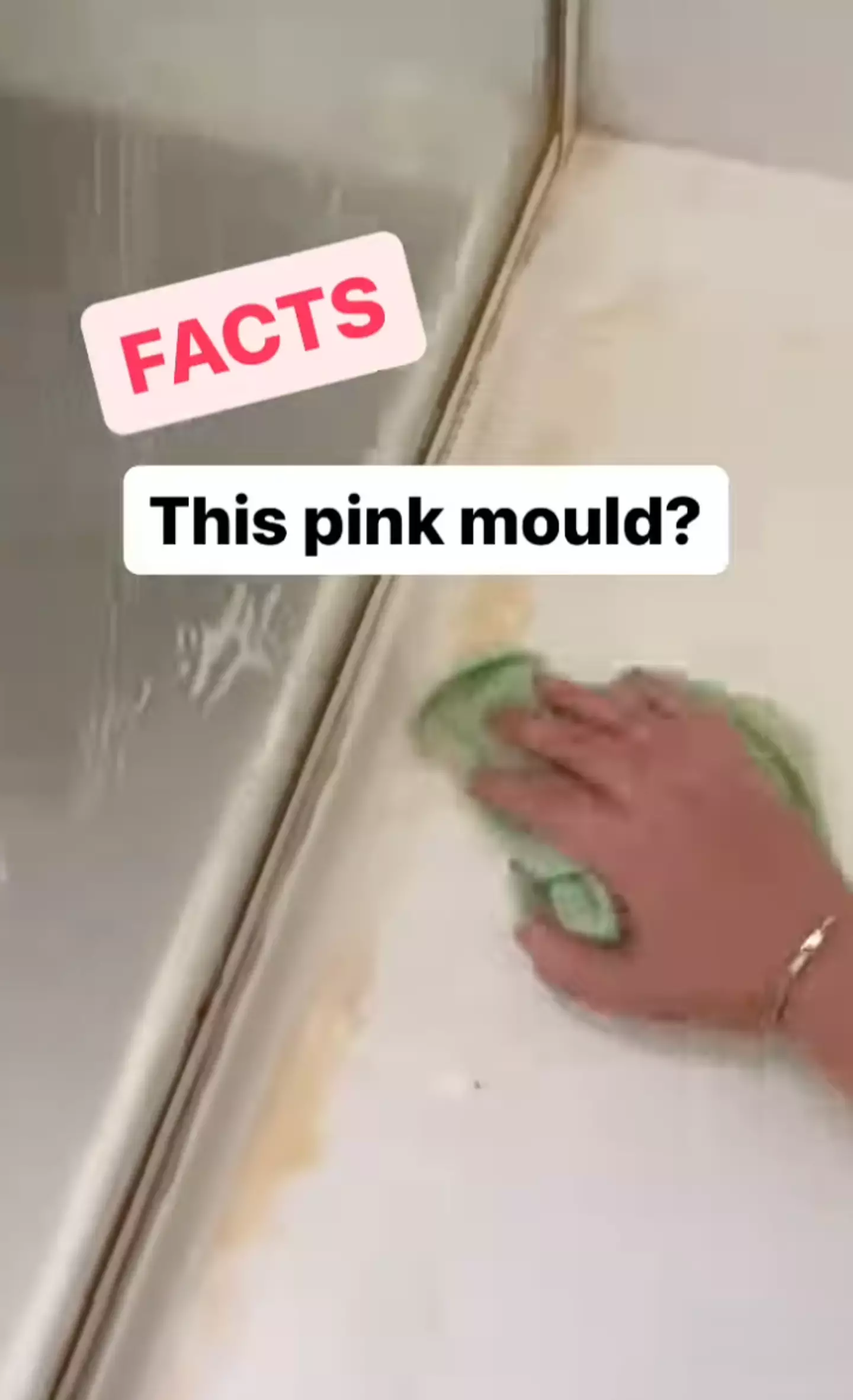 Kacie Stephens said the pink mould isn't actually mould after all.