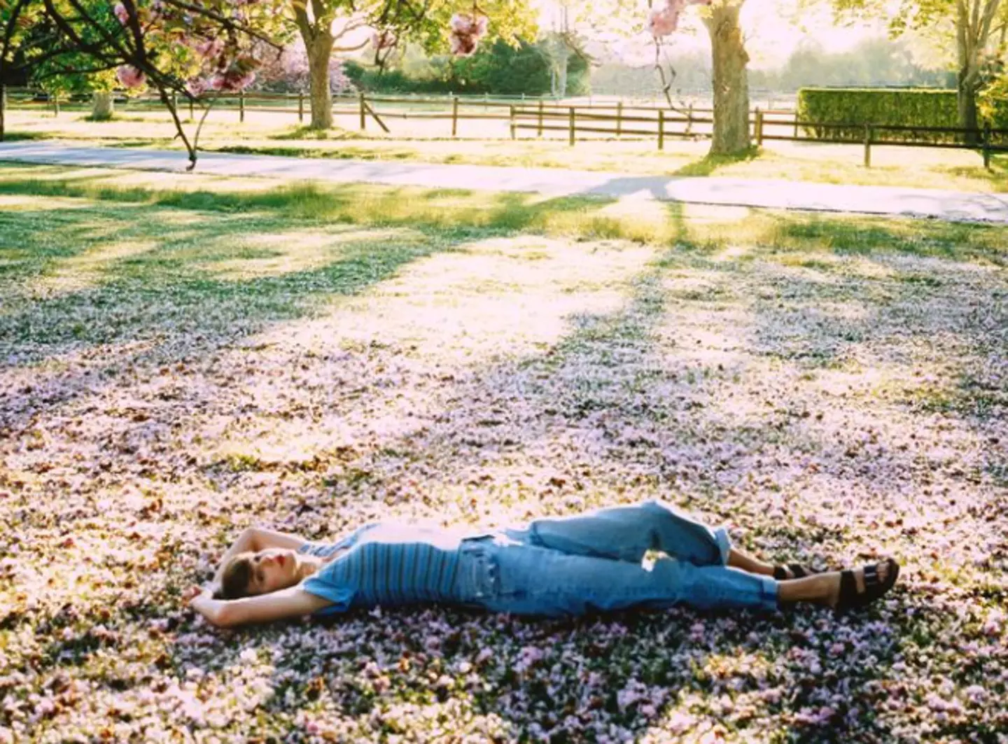 Taylor and Travis aren't walking down the aisle any time soon according to sources.