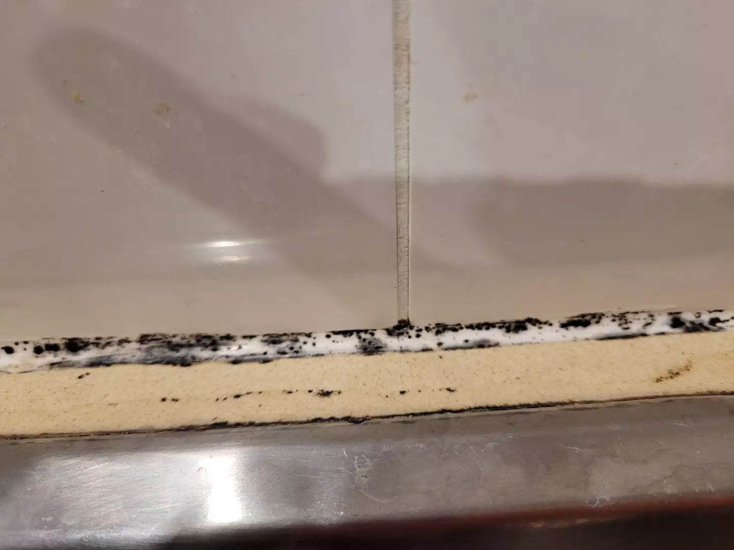 The mould before she used the spray.