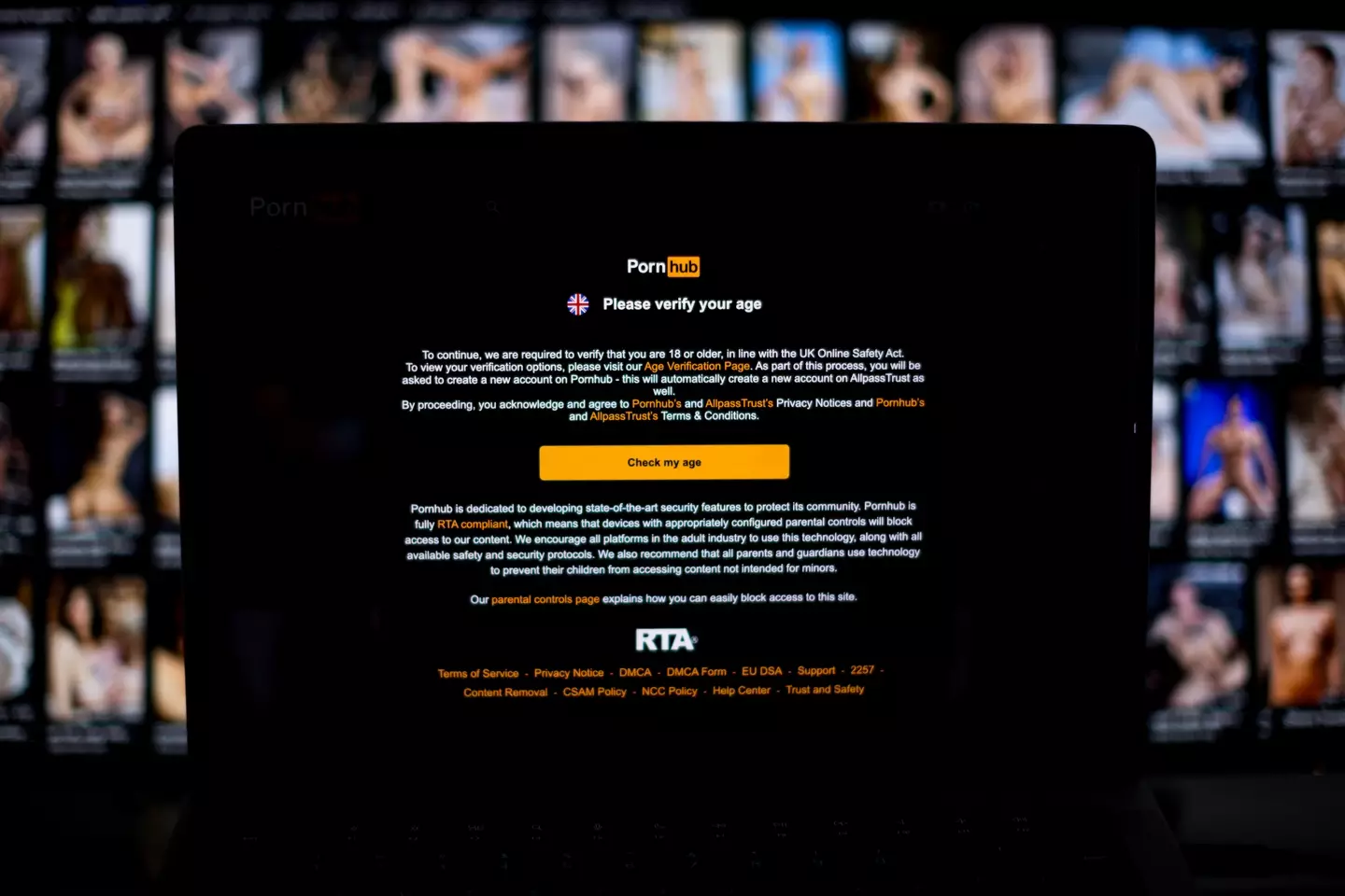 Pornhub has just published its 2025 Year in Review (Jack Taylor/Getty Images)