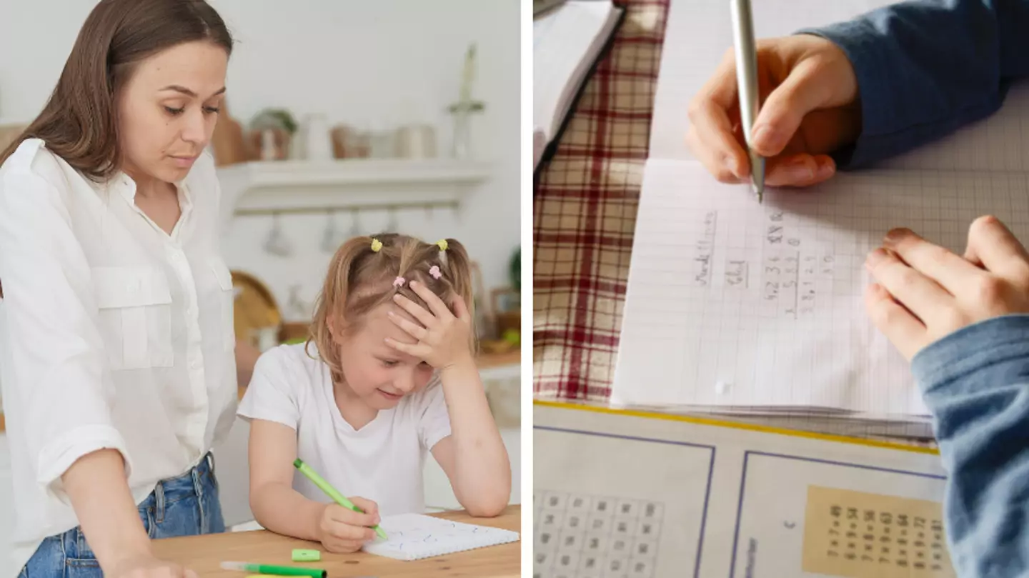 Mum divides opinion after claiming two hours of homework a night is not excessive