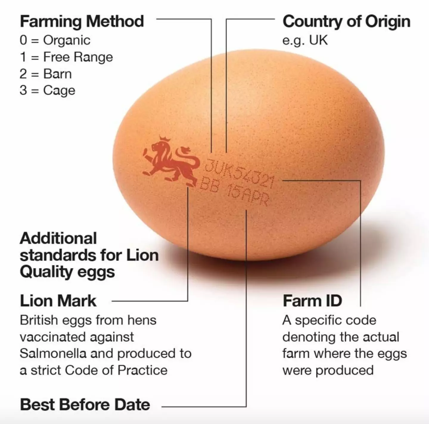 The code denotes the farming method, country of origin and the farm where the egg was produced (British Lion Eggs)
