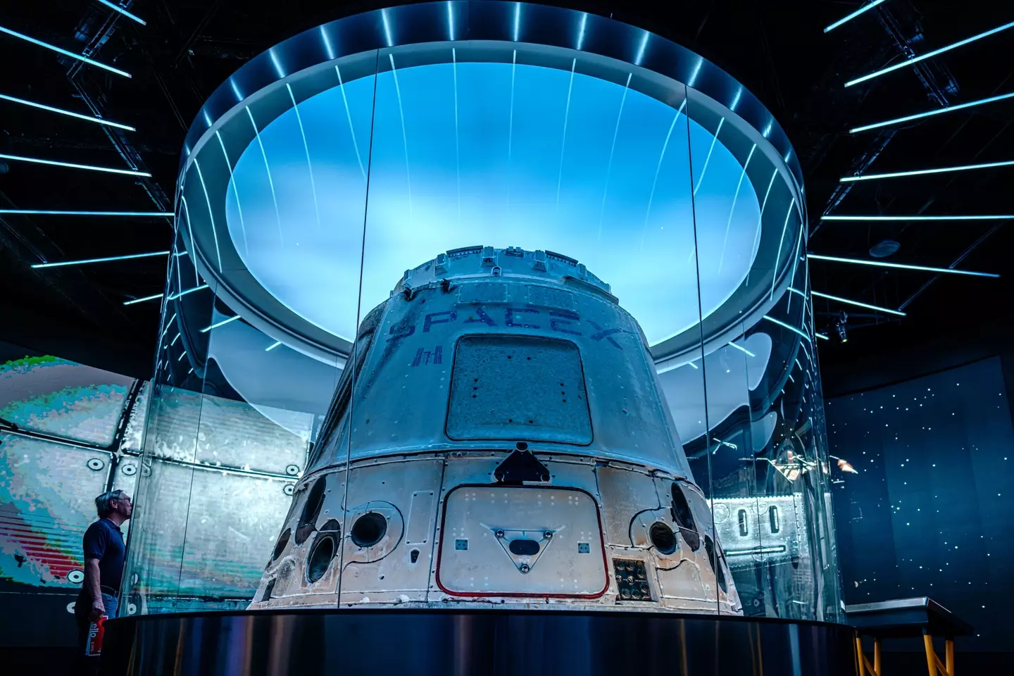 SpaceX was launched by Musk in 2002 (Jamie Kelter Davis/Bloomberg via Getty Images)