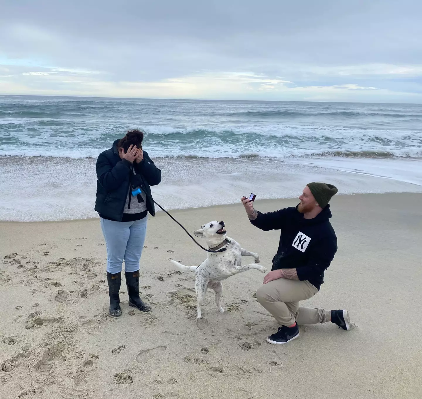 Breeze the dog was quick to accept the proposal.
