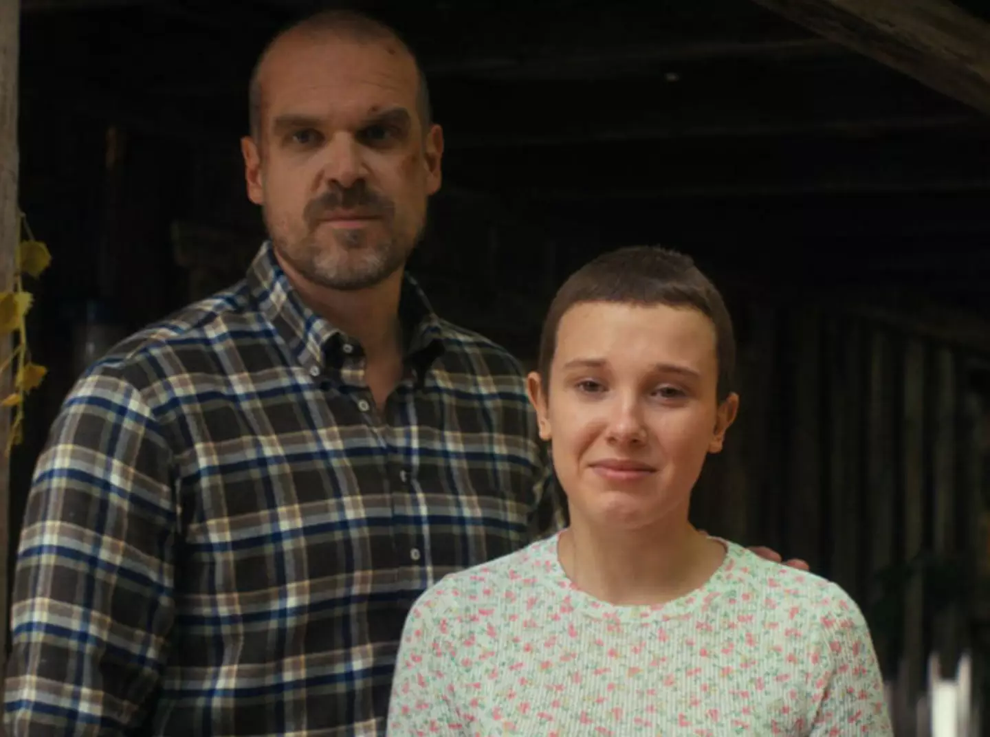 Harbour plays Chief of Police Jim Hopper while Brown portrays his adopted daughter named Eleven (Netflix)