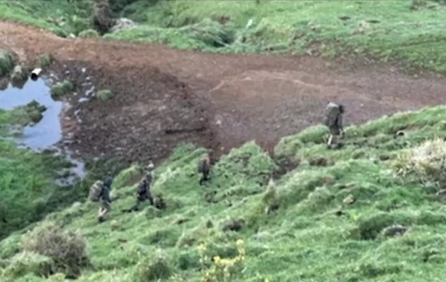 The family were spotted by two local hunters (1News)