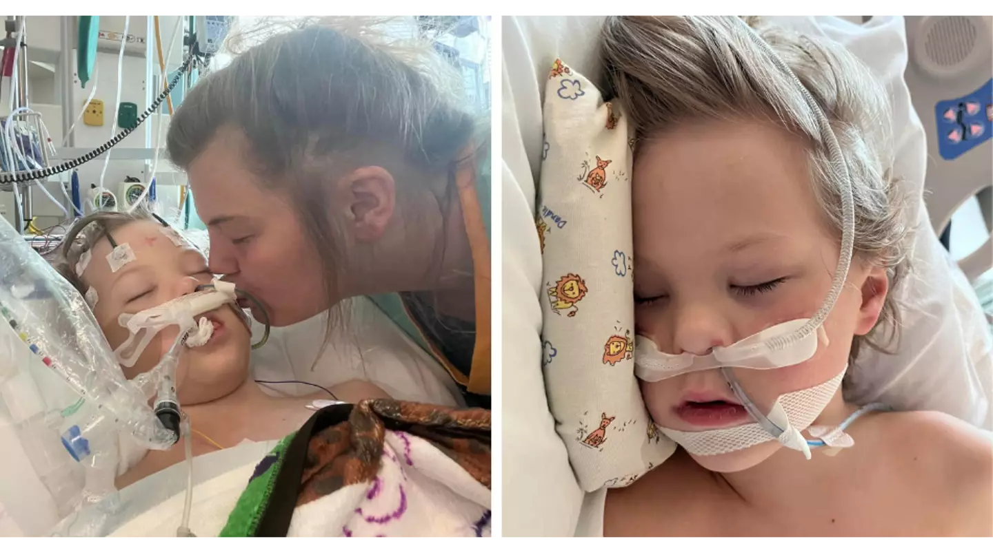 Mum issues warning about ticks after son experienced six-hour seizure and almost died