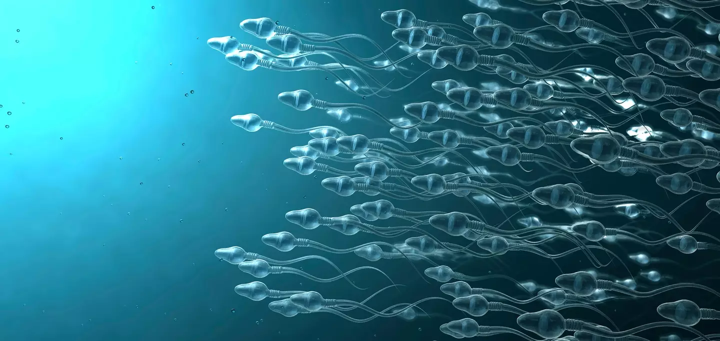 A worrying case has seen 10 children from the same sperm donor be diagnosed with cancer (Christoph Burgstedt/Science Photo Library)