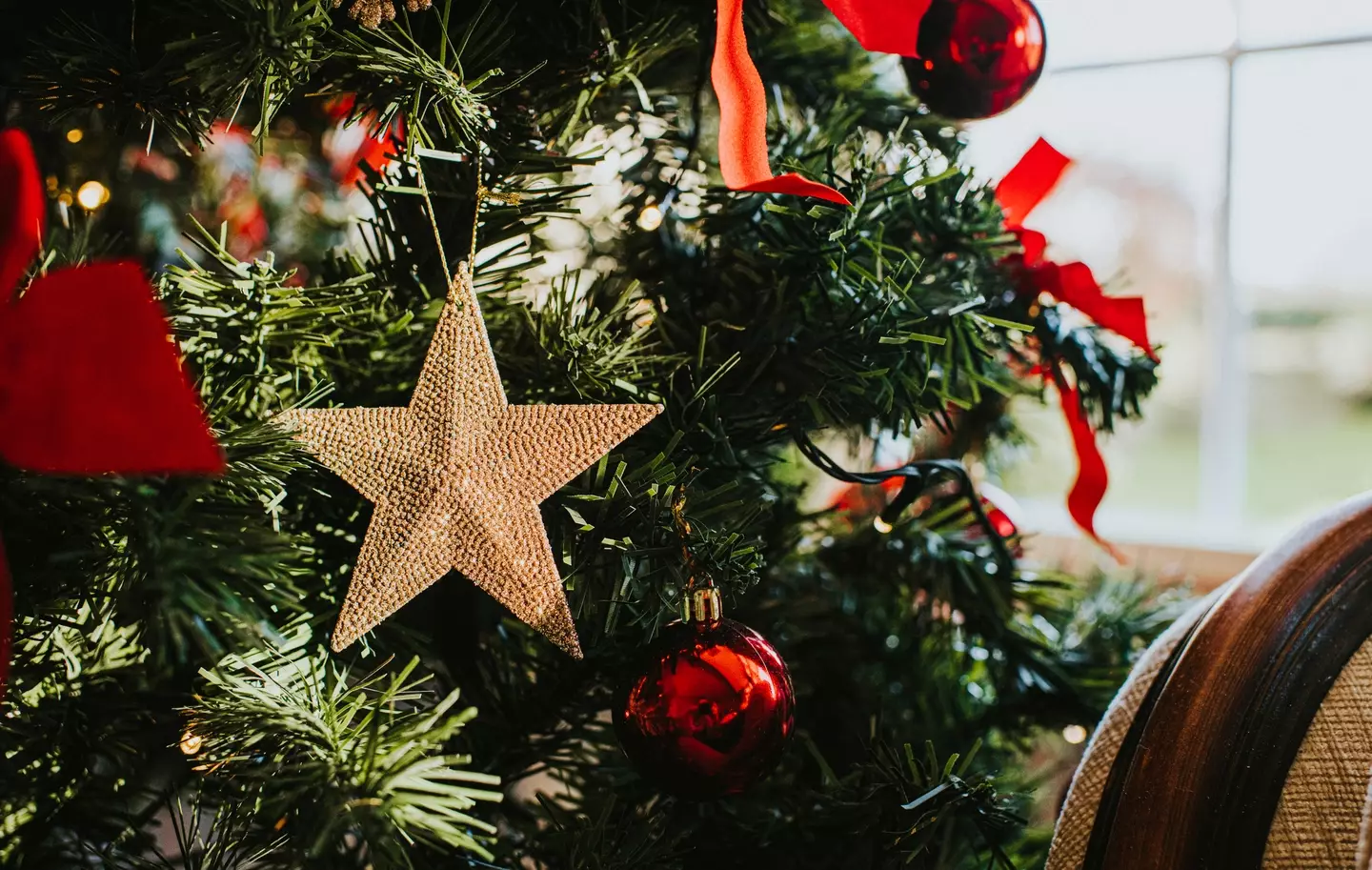 Anyone with a real Christmas tree, listen up! (Catherine Falls Commercial / Getty Images)