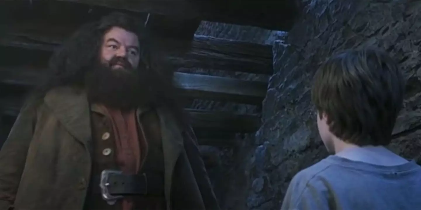Robbie Coltrane as Rubeus Hagrid and Daniel Radcliffe as Harry Potter.