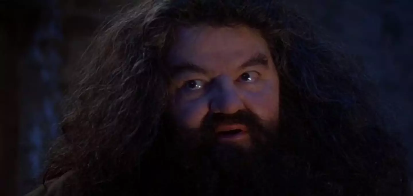 Robbie Coltrane as Rubeus Hagrid in Harry Potter.