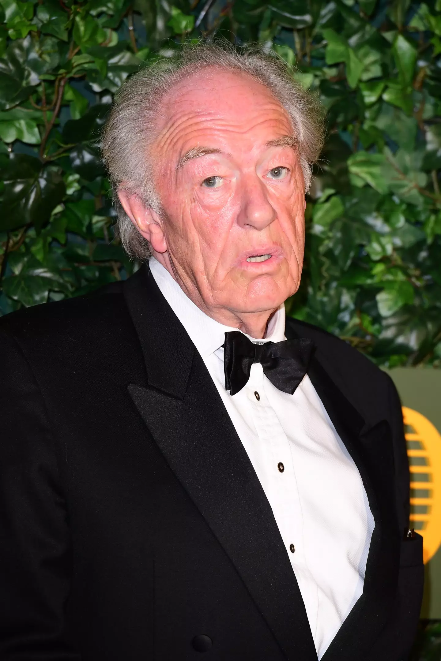 Michael Gambon in 2016.