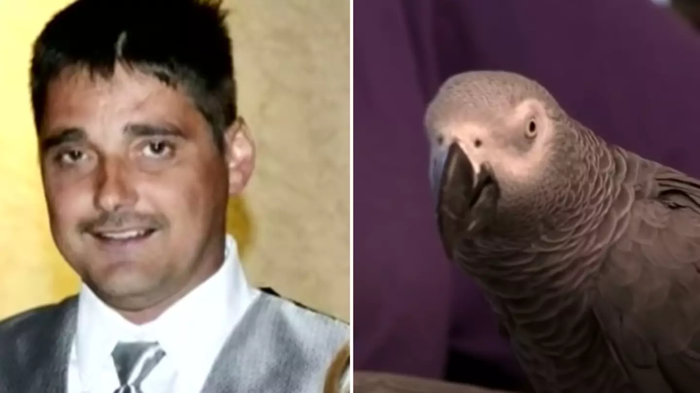 Woman convicted of killing her husband after parrot repeated 'last words’