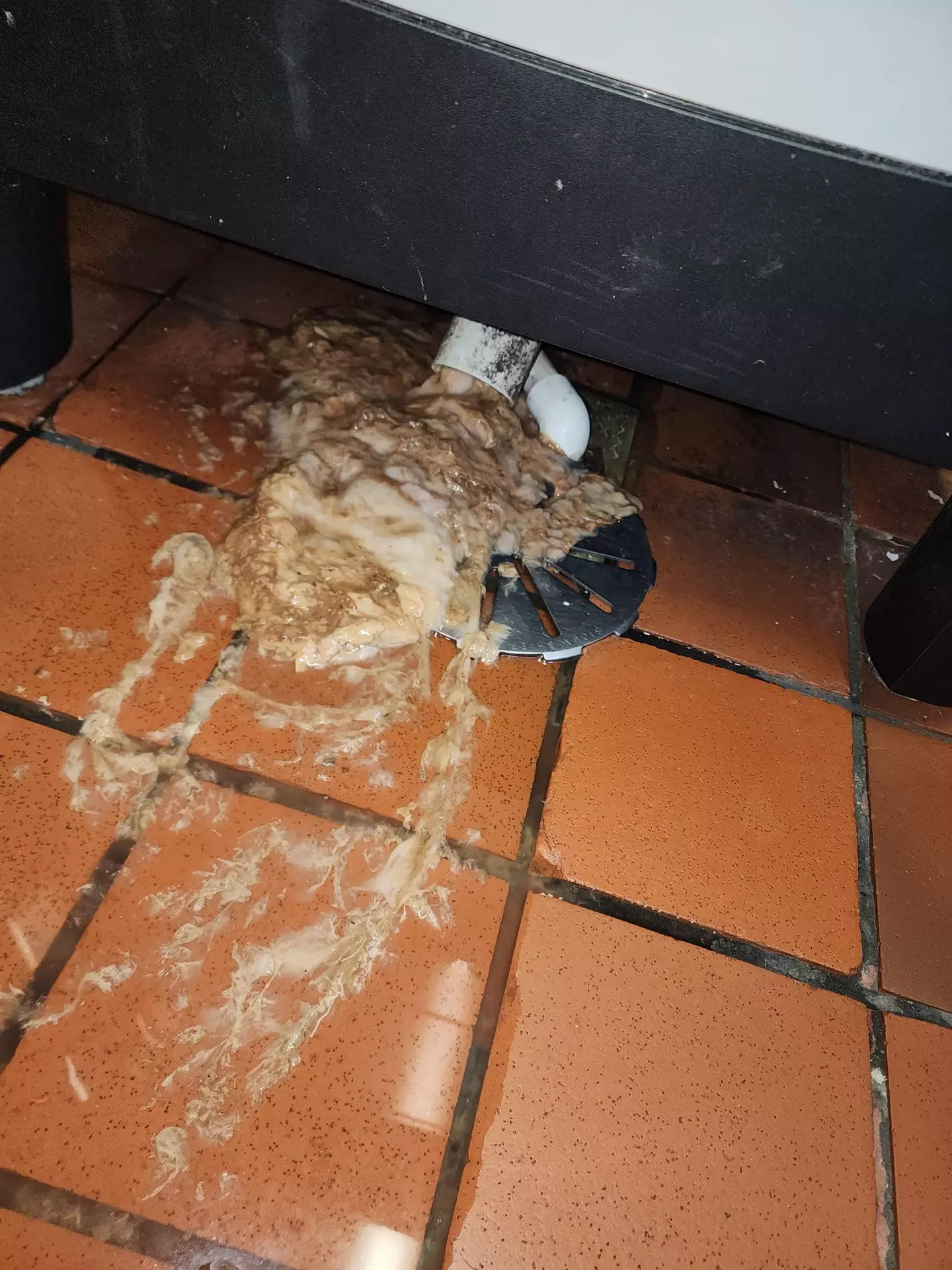 (Reddit/geeisntthree)