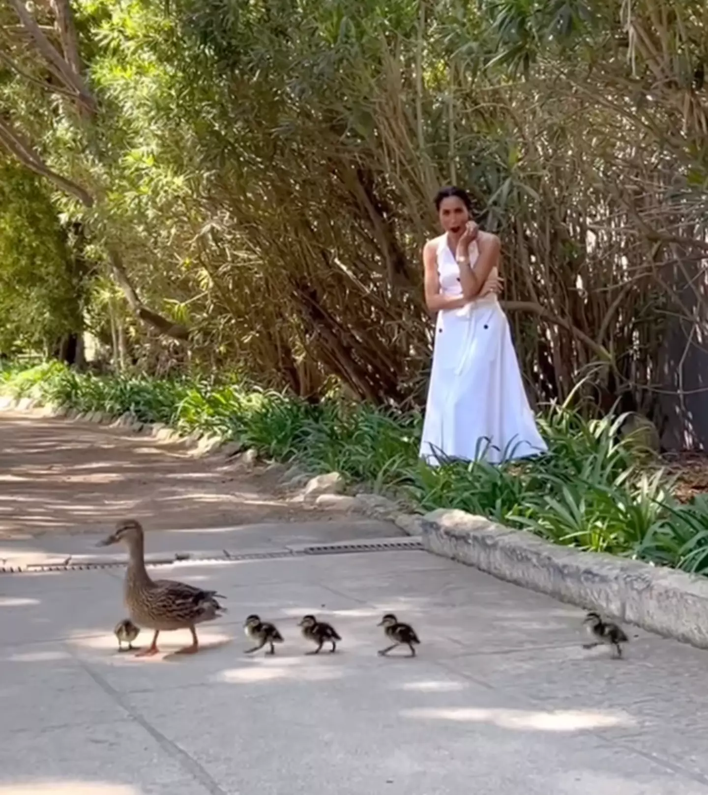 Oprah recalled the moment Prince Harry rang her up for help in transporting the duckies (Instagram/@meghan)