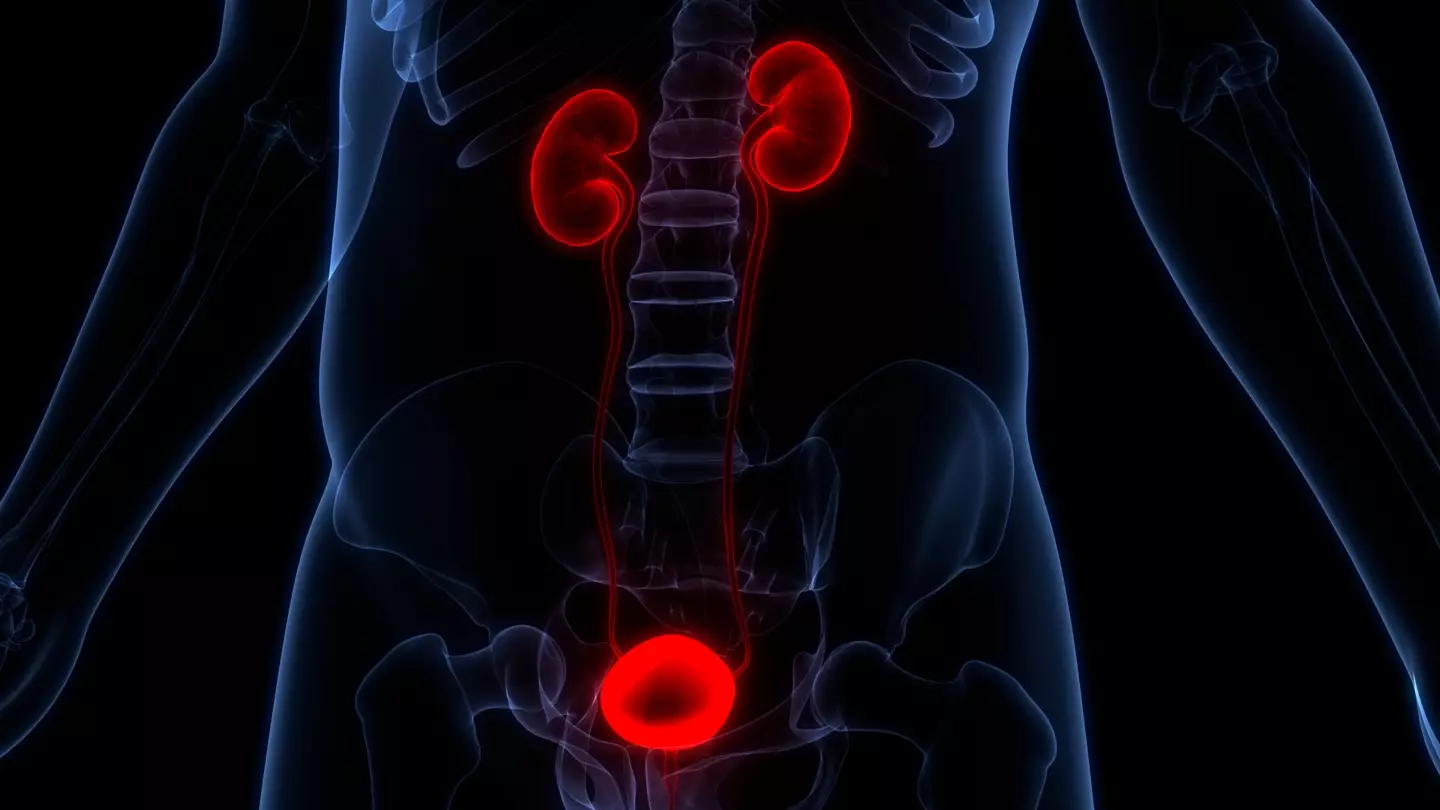 There are a number of other symptoms linked to bladder cancer, other than blood in your urine (magicmine / Getty Images)