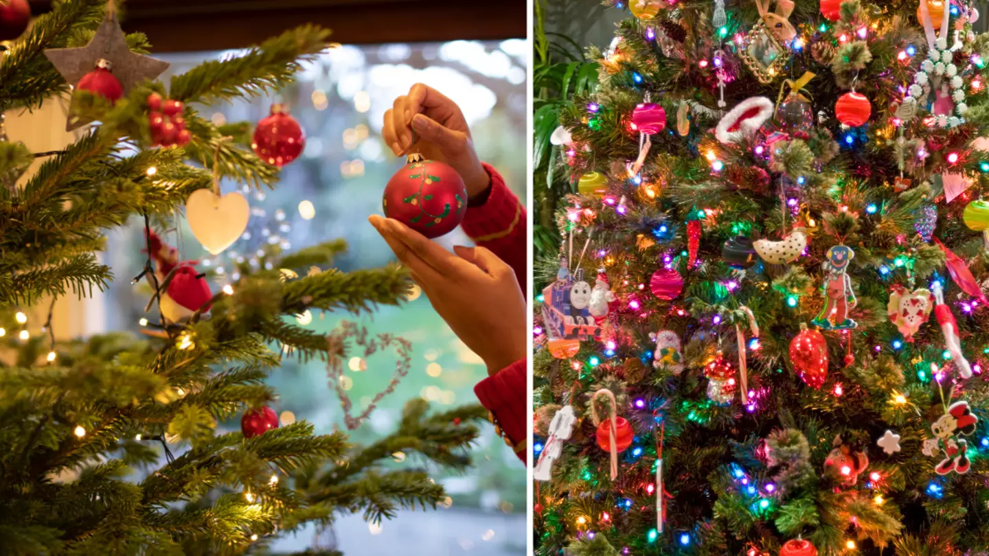Serious warning issued to anyone with a real Christmas tree in their house