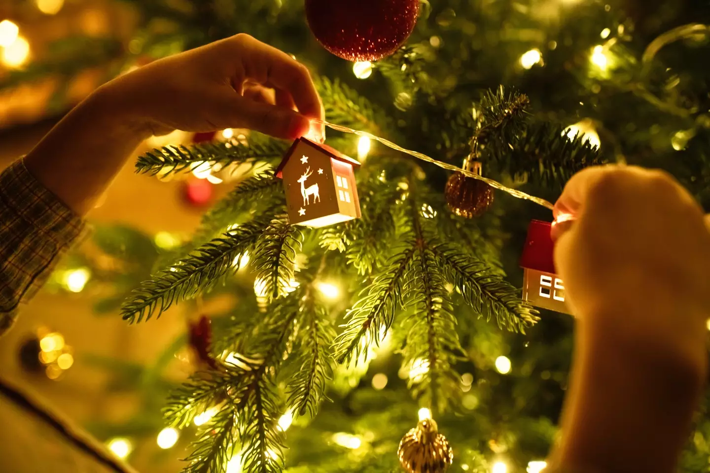 Experts have stressed the importance of replacing your Christmas tree lights every four years at least (Getty Stock Image)