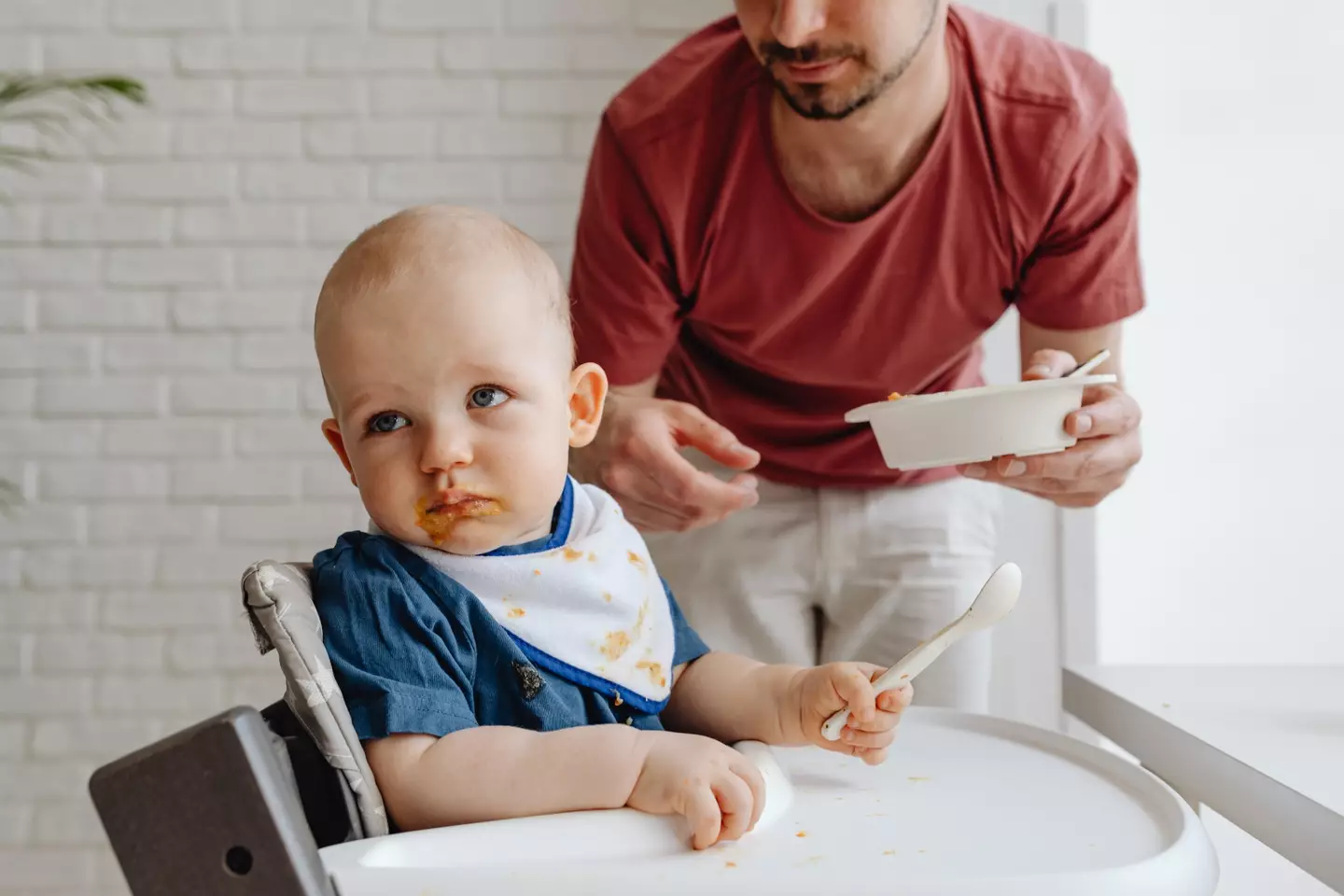 Do you use silicone plates to feed your child?