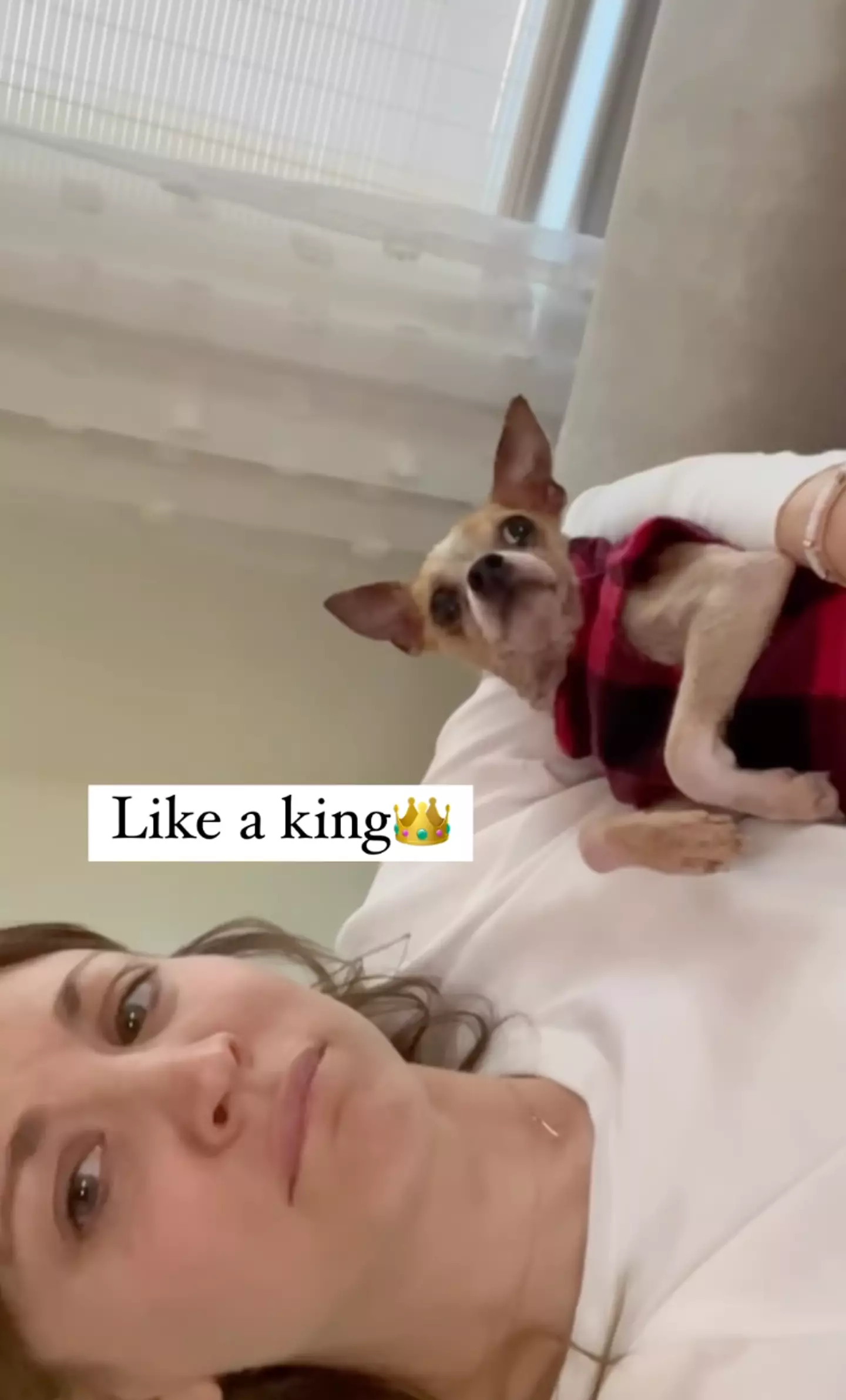 Kaley Cuoco has issued a warning to fellow pet owners over the dangers of foxtail plants.