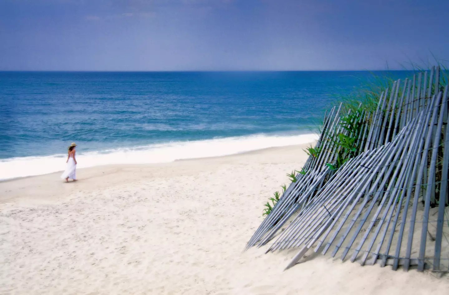 People have made the connection between Lyme disease and the Hamptons (Grant Faint/Getty Images)