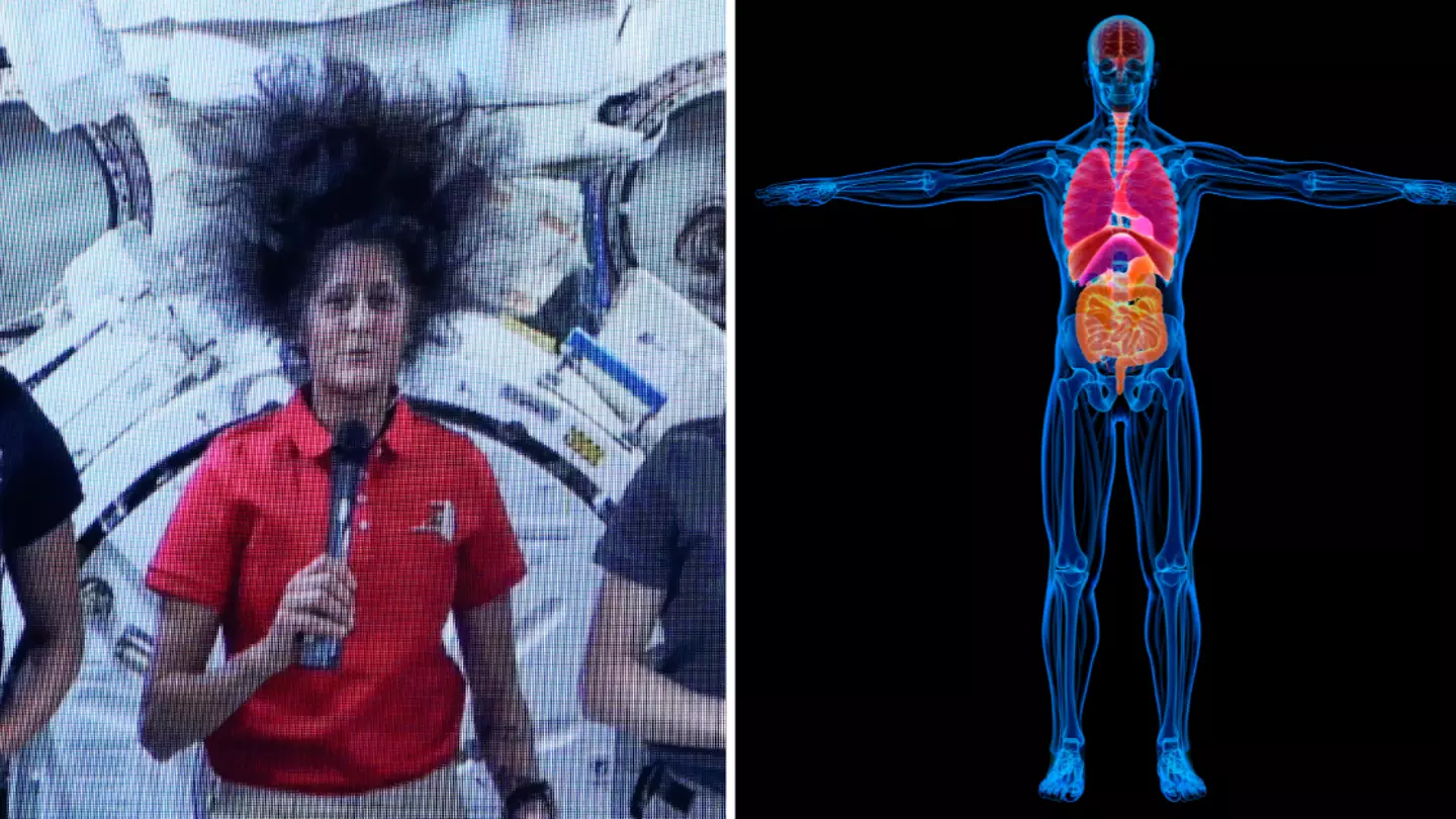 Disturbing reality of what 9 months in space can do to your body as NASA astronauts finally get given return date
